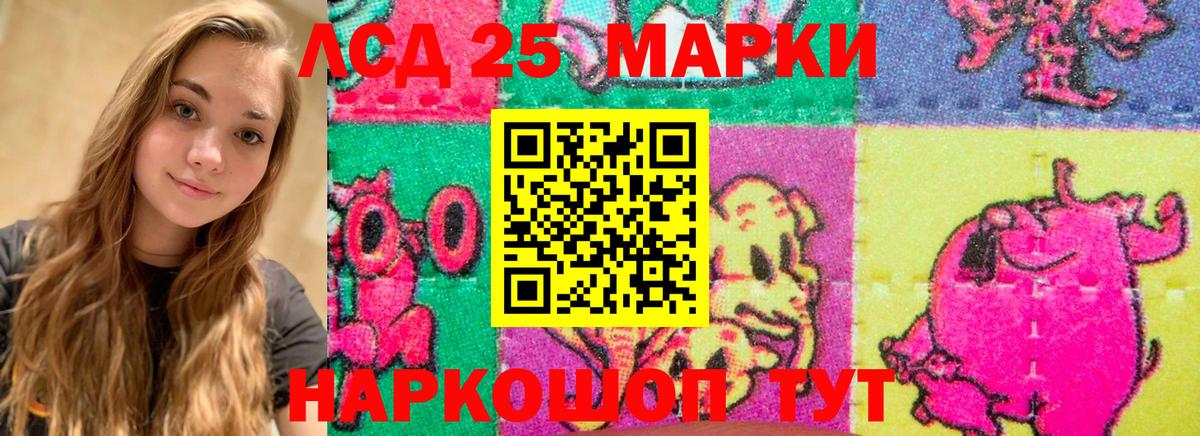 LSD-25 экстази кислота  Вход с VPN  Владимир  ЛСД экстази ecstasy 
