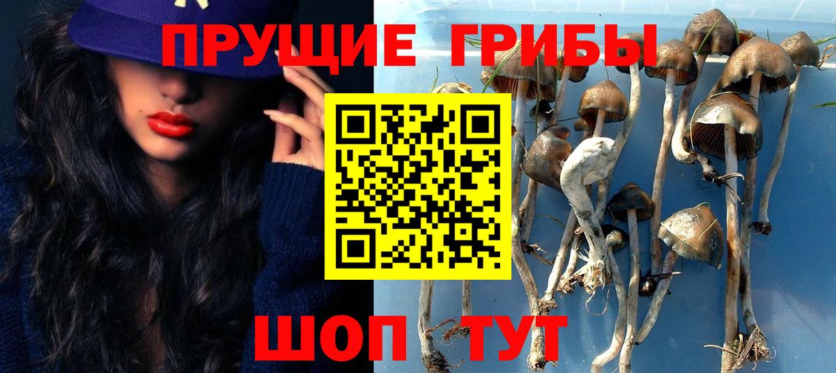 Галлюциногенные грибы мицелий Владимир