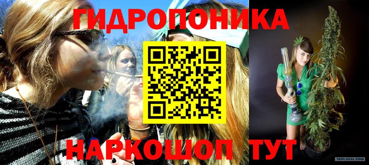 Конопля THC 21% Владимир